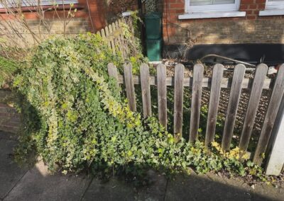 sevenoaks garden services gallery 1