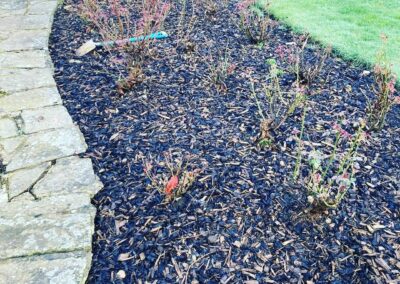 sevenoaks garden services gallery 17