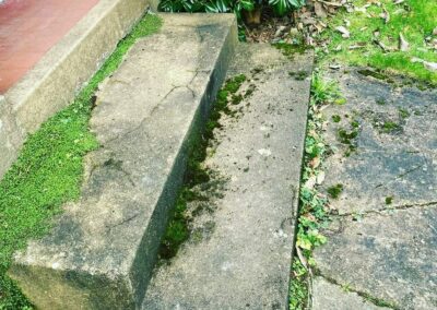 sevenoaks garden services gallery 19