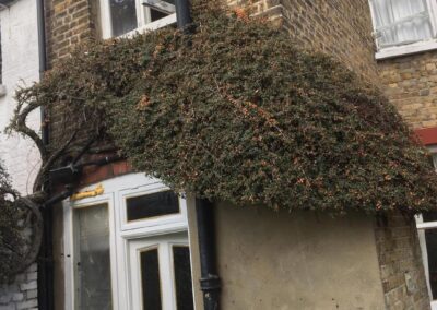 sevenoaks garden services gallery 38