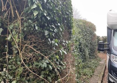 sevenoaks garden services gallery 7