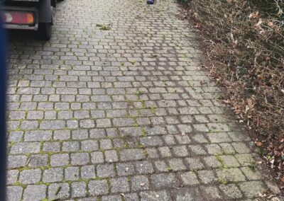 sevenoaks garden services gallery 8