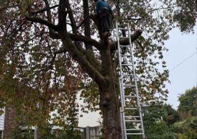 seven oaks garden services image new 1